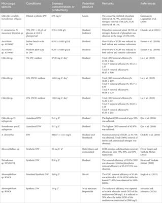 Comprehensive assessment of microalgal-based treatment processes for dairy wastewater